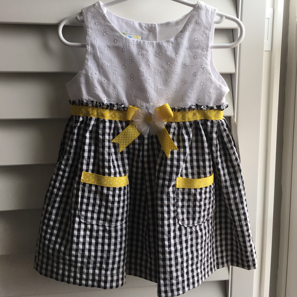 Gingham & eyelet daisy dress 18M