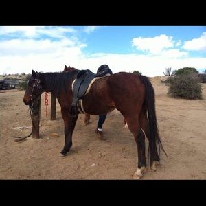 Meet your Posher, Vik