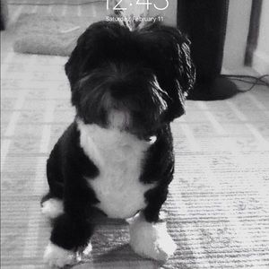 Meet your Posher, David