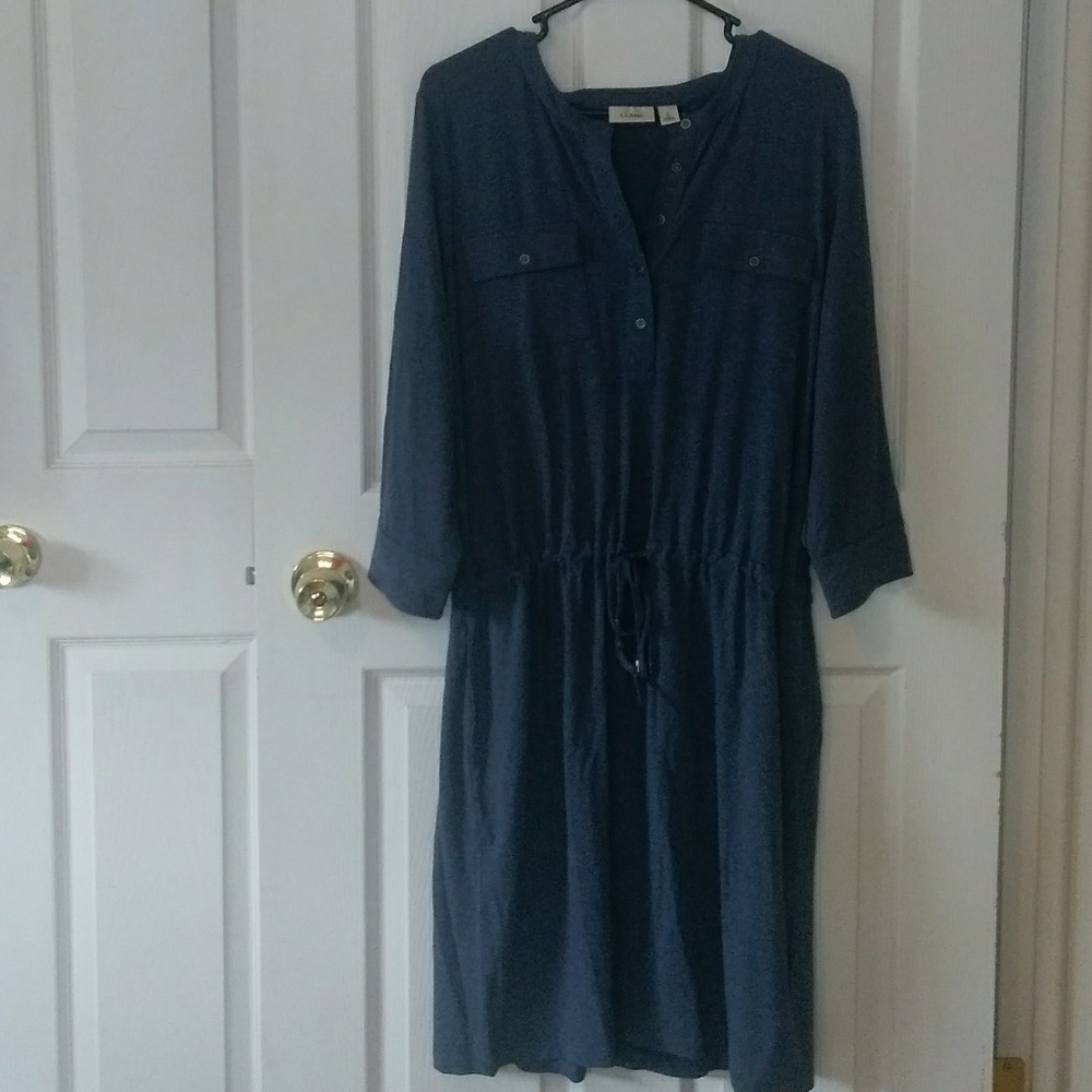 L. L. Bean Dress With Pockets!