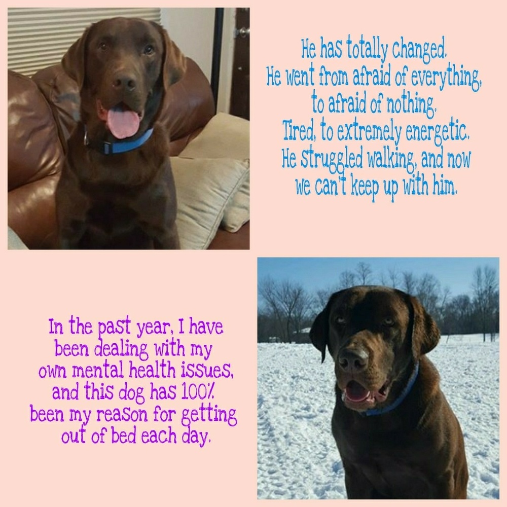 BUY A BRACELET FOR REECE - Picture 4 of 8