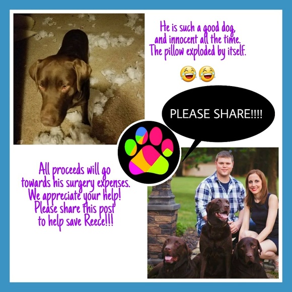 BUY A BRACELET FOR REECE - Picture 5 of 8