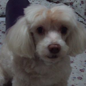 Meet your Posher, Sally