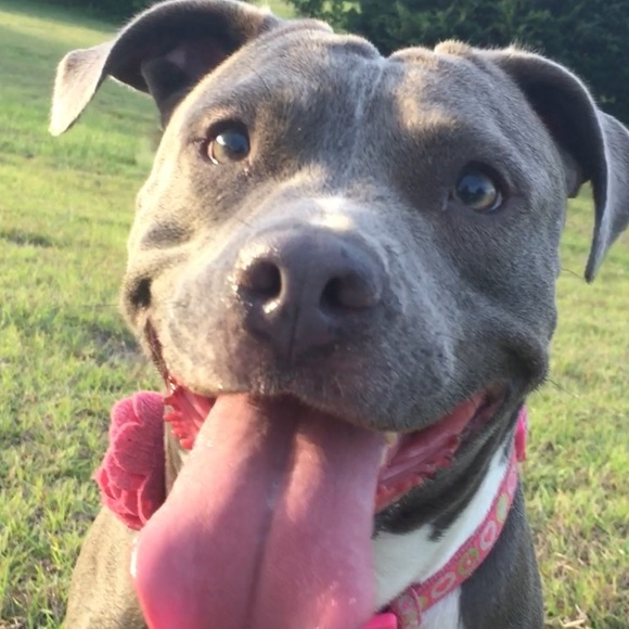 Meet your Posher, Amanda - Picture 1 of 1