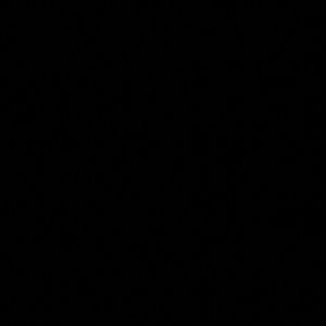 Meet your Posher, Lourdes