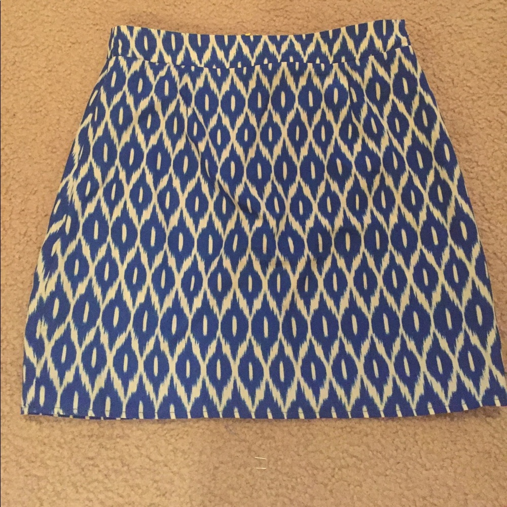 Francesca's skirt
