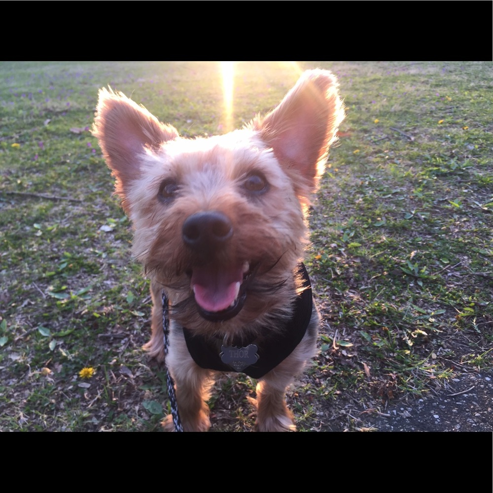 Meet your Posher, Angela