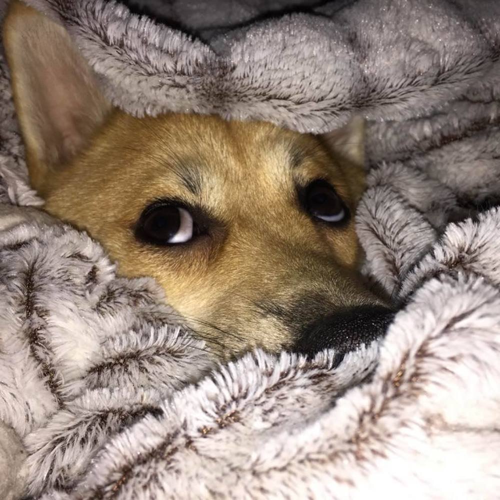 Meet your Posher, Debi