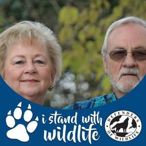 Meet your Posher, Wanda