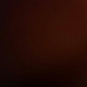 Meet your Posher, Beatriz daniela