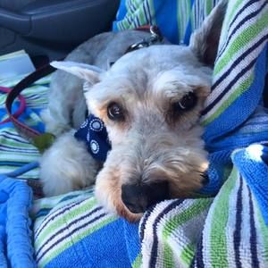 Meet your Posher, Heather