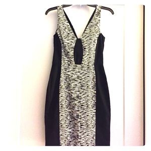 French Connection zebra printed cotton dress