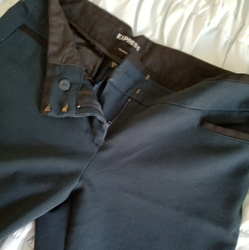 Express Columnist Dress Pants