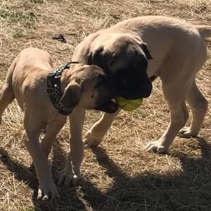 Meet your Posher, Brandy