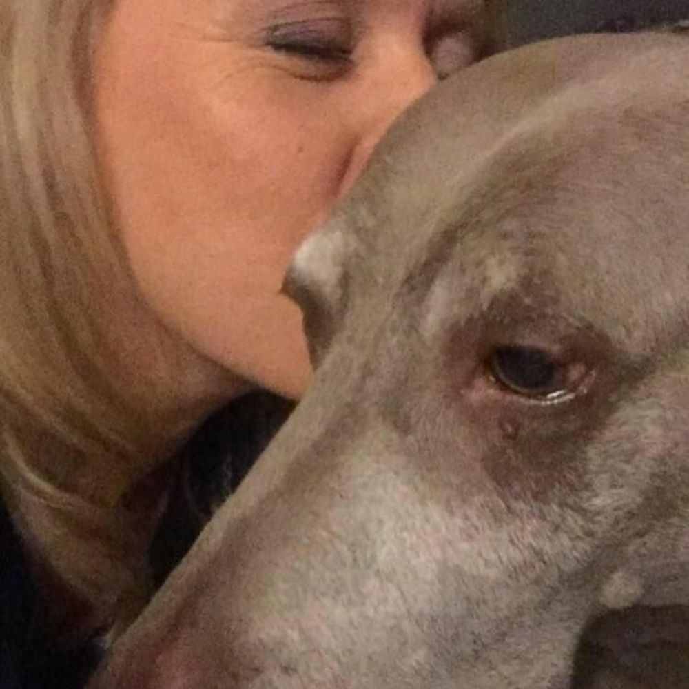 Meet your Posher, Jean