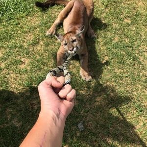 Meet your Posher, Dan