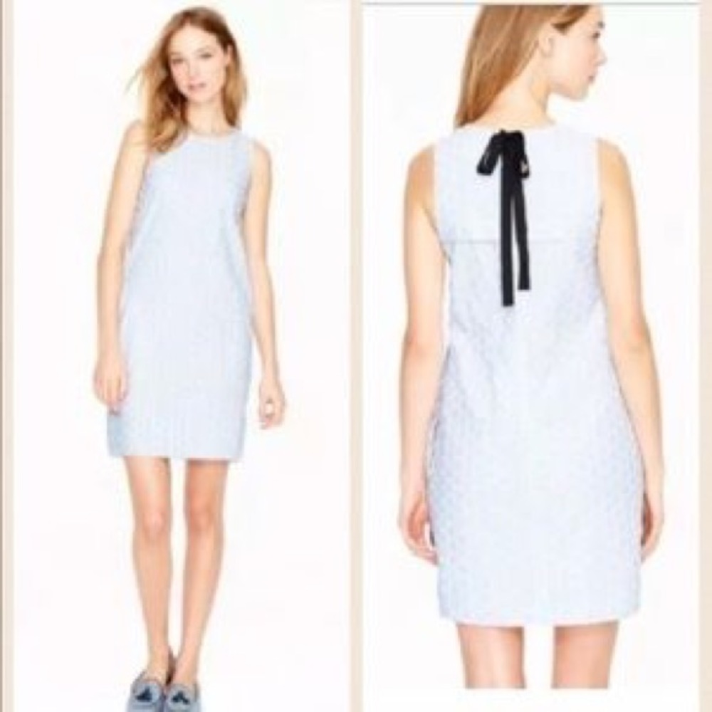 J crew Seersucker Circle dress