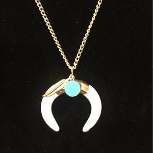 Turquoise and ivory faux stone horn necklace