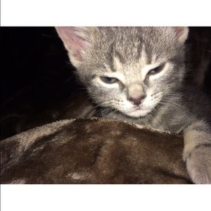 Meet your Posher, Lisa