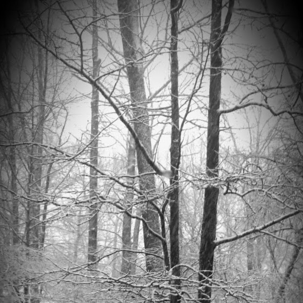 Meet your Posher, Adjani