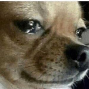 Meet your Posher, Josh