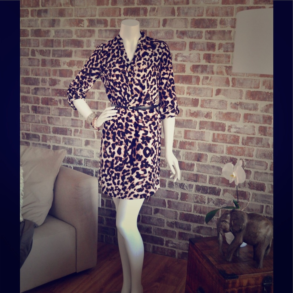 EXPRESS Ashton dress