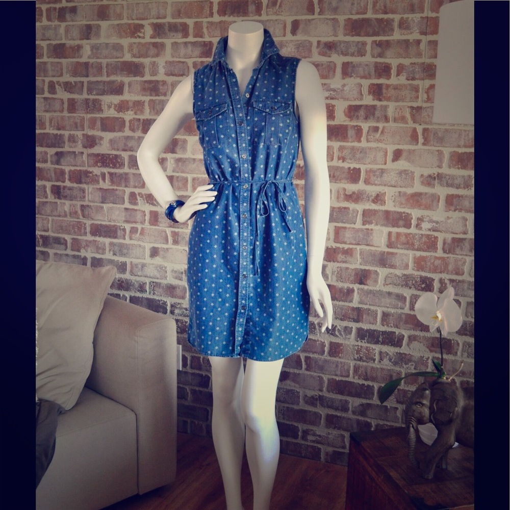 The Limited denim dress