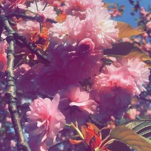 Meet your Posher, Edith