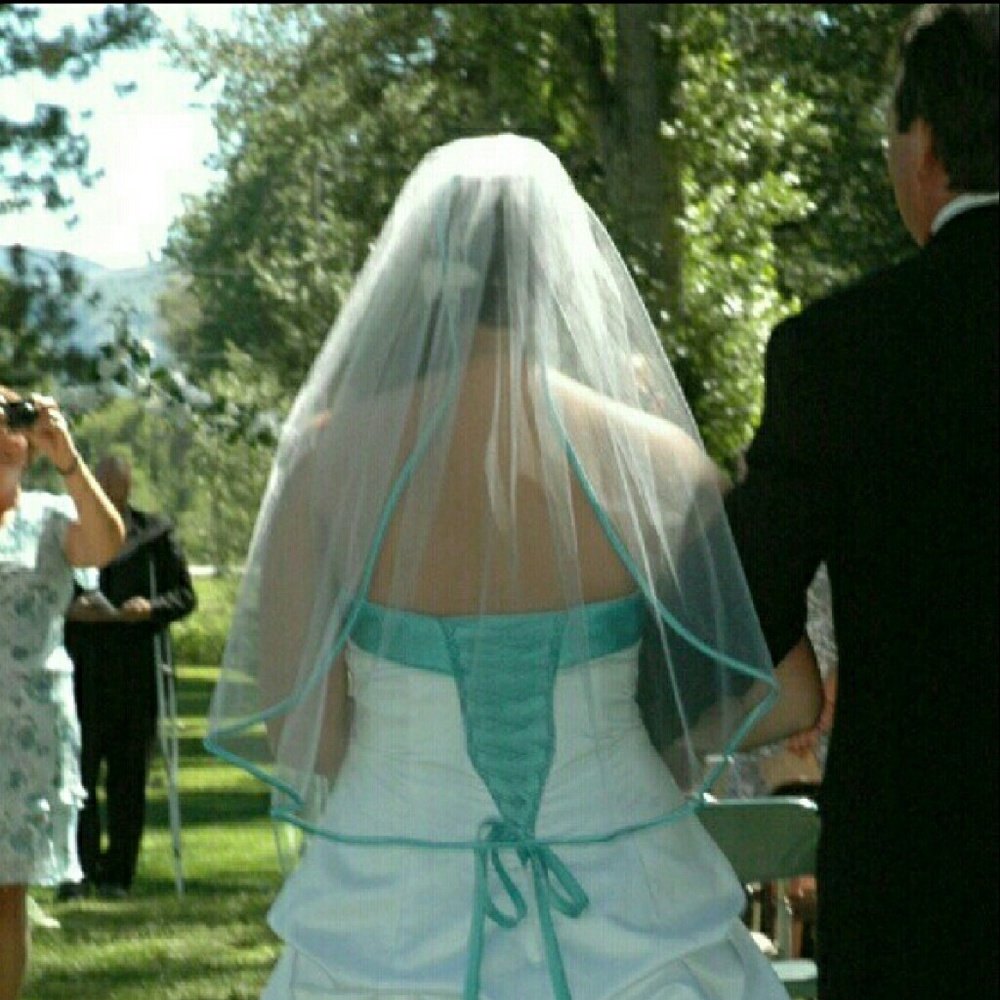 David's Bridal Tulle Veil