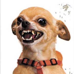 Meet your Posher, Alberto