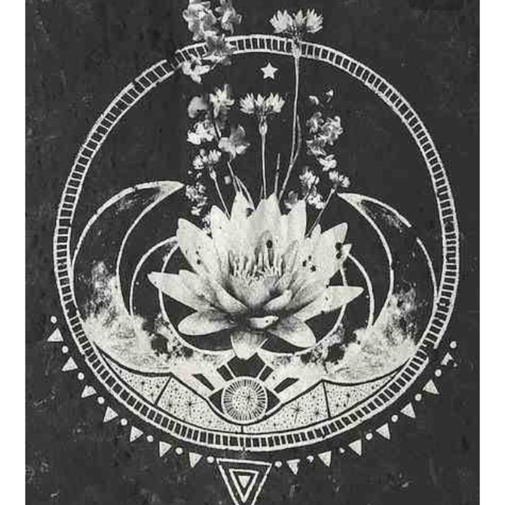 Meet your Posher, Steff