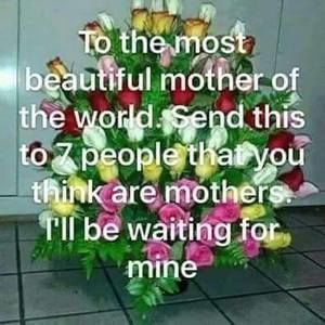 Meet your Posher, Cassandra