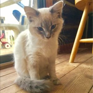 Meet your Posher, Kellie