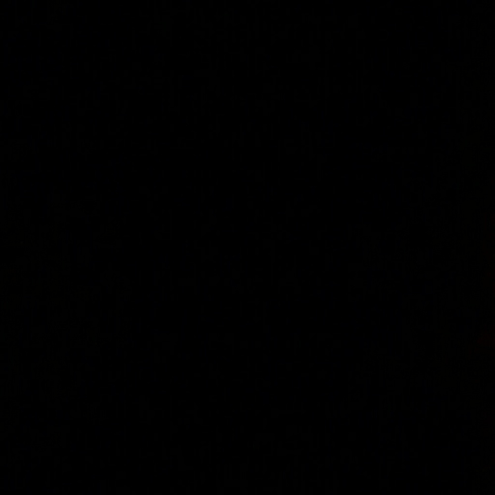 Meet your Posher, Paige