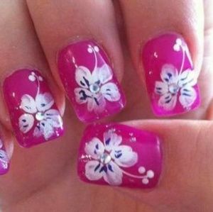 Meet your Posher, Donna