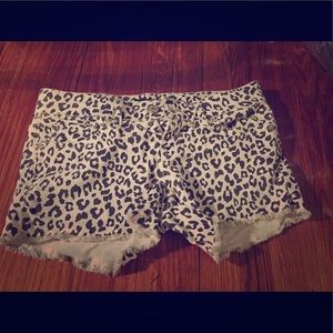 leopard shorts