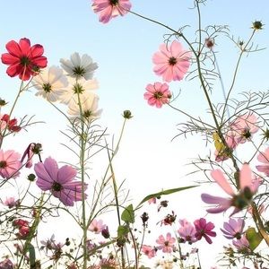 Meet your Posher, Leonor