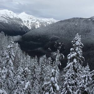 Meet your Posher, Aliza