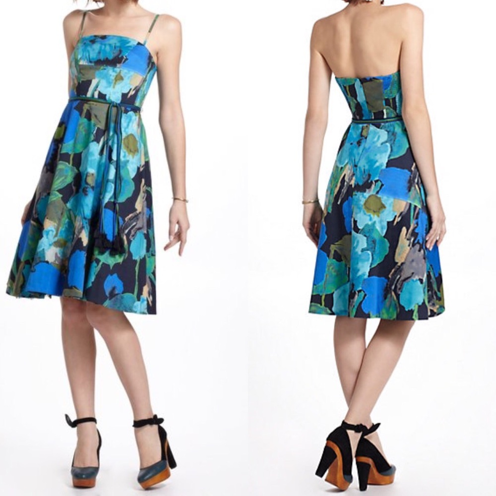 Anthropolgie Vanessa Virginia Shadeflower Dress 0
