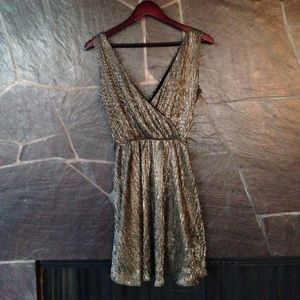 Banana Republic Petite sparkly mini dress