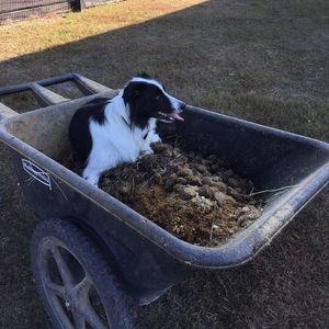 Meet your Posher, Kelli