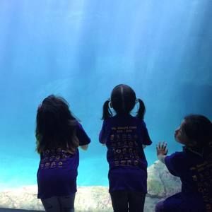 Meet your Posher, Amelia