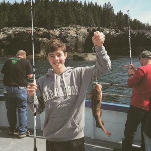 Meet your Posher, Cole