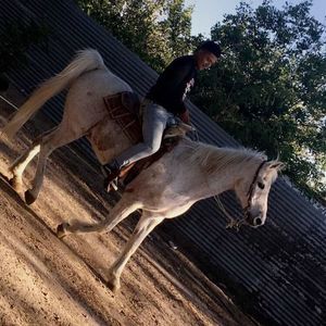 Meet your Posher, Rafael