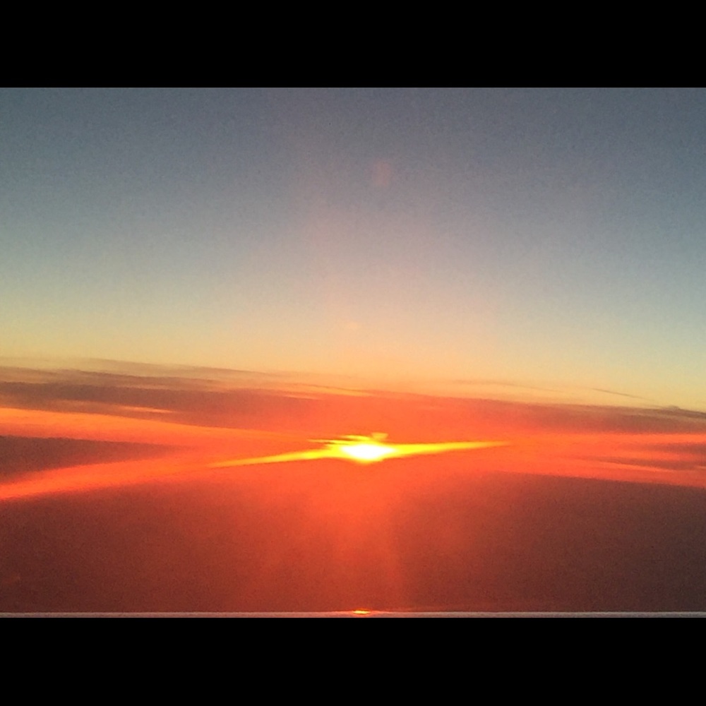 Meet your Posher, Betsy