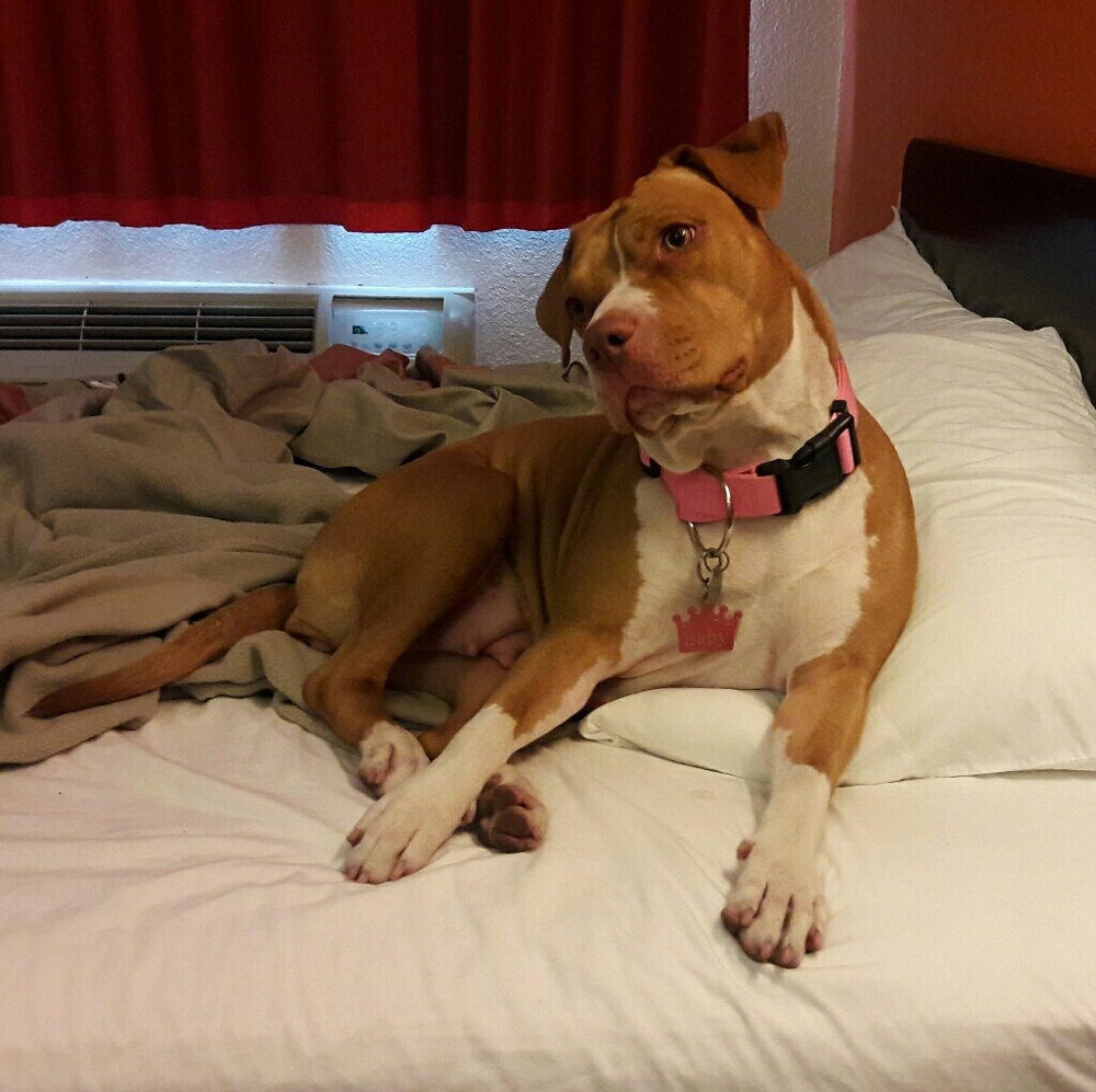 Meet your Posher, Jennifer