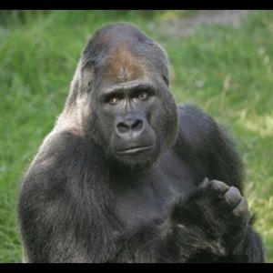 Meet your Posher, Aidan