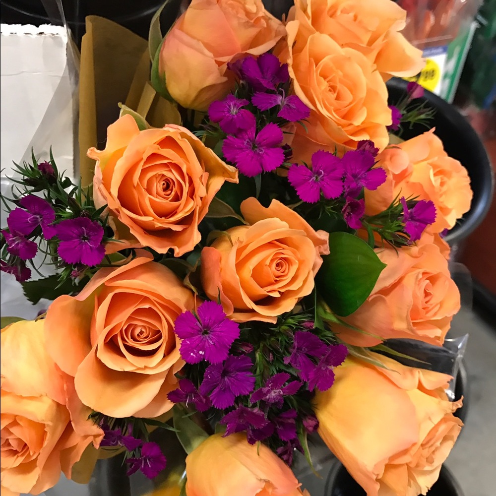 Meet your Posher, Claudia