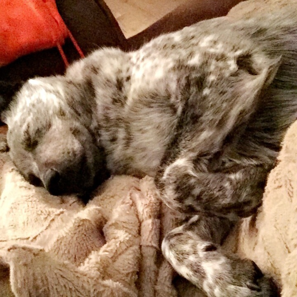 Meet your Posher, Beth