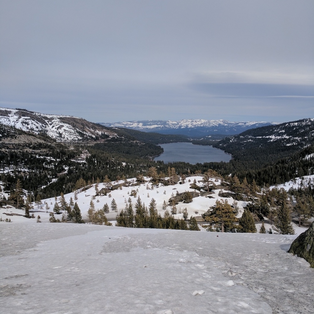 Meet your Posher, Lizz